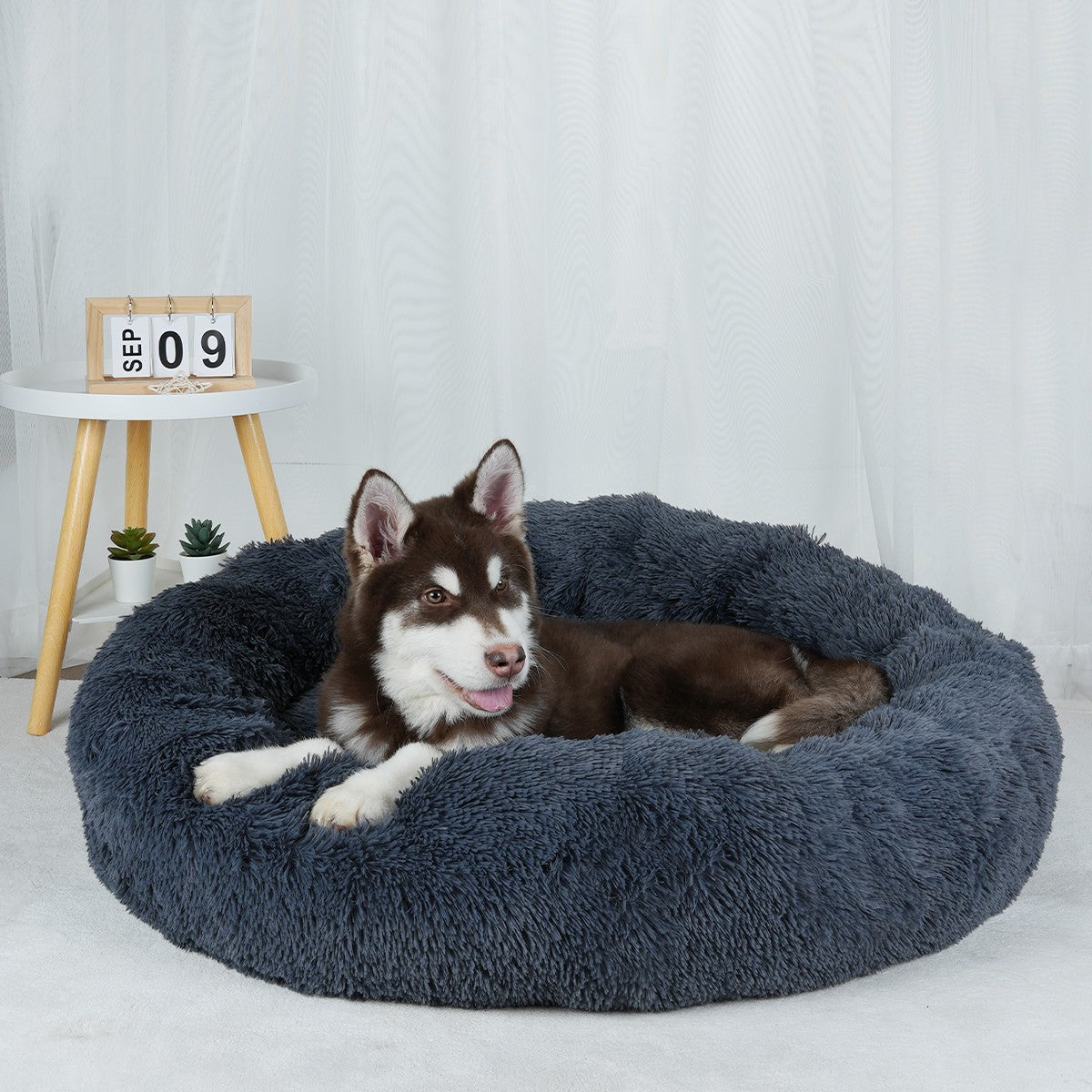 Cama para Cachorro, Donut Grande Redondo, Cesta Pelúcia de Inverno para Cães Médios, Acessórios, Casinha Fofa, Pequeno, Filhote, Animais de Estimação, Gato, Produtos