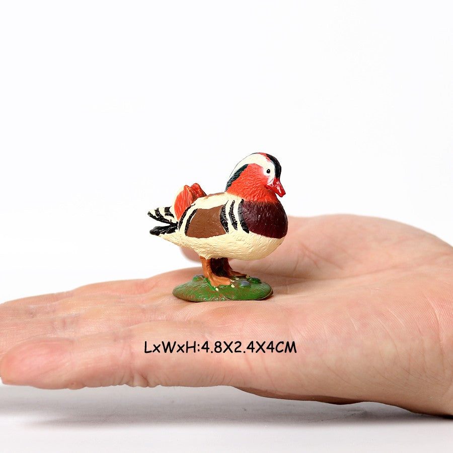 Coruja Flamingo Peru Tucano Seahawk Modelo Animais Estatuetas Plástico Pássaro Brinquedo Boneco de Ação Aventuras na Selva Presentes para Crianças Zoológico da Floresta