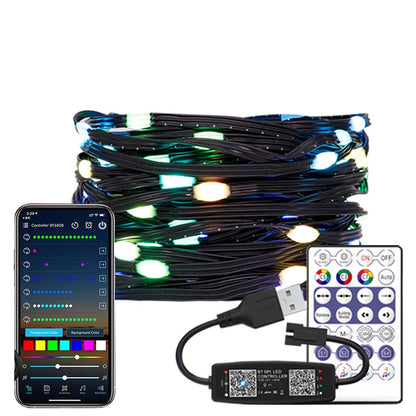 WS2812B LED String 5M 10M 20M RGBIC Dream Color Party Christmas Lights Individually Addressable String Lights Waterproof DC5V