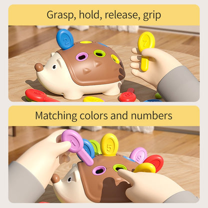 Hedgehog Montessori Baby Toys Hand-eye Coordination Fine Motor Training Develop Concentration Children Sensory Educational Toy