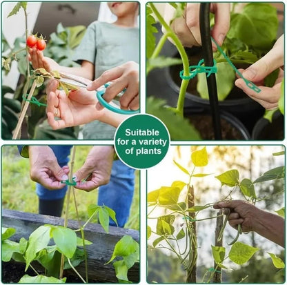 Reusable Adjustable Plastic Plant Cable Ties for Garden Vines, Trees, and Shrubs Support, Locking Nylon Zipper Organizer Tools