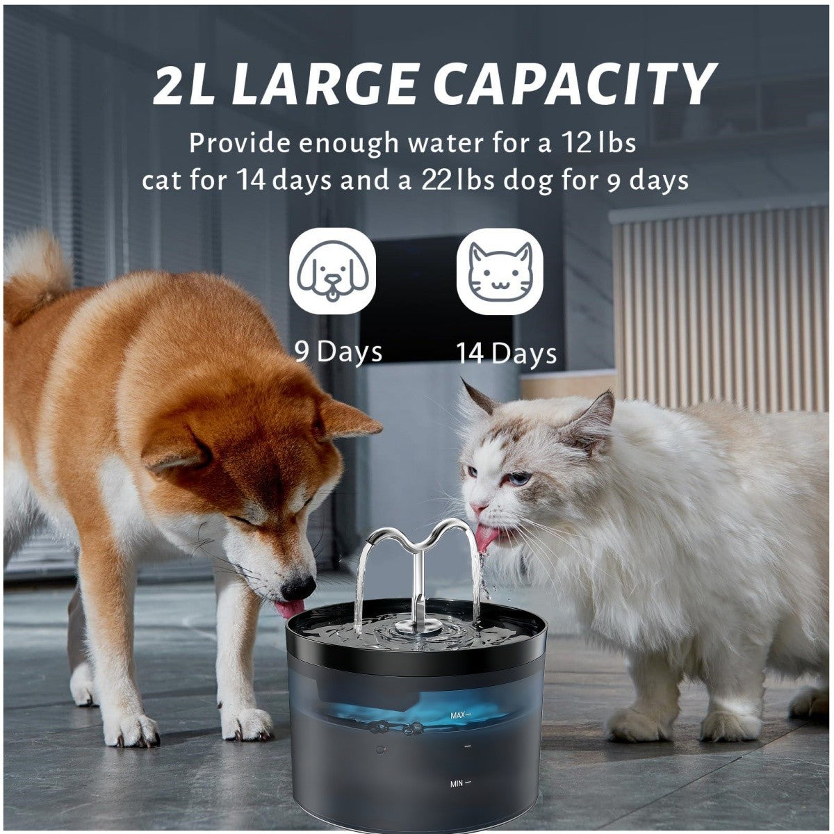 Bebedouro automático para animais de estimação 2,1L Bomba ultra silenciosa torneira para gatos adequado para cães e gatos com sensor USB elétrico