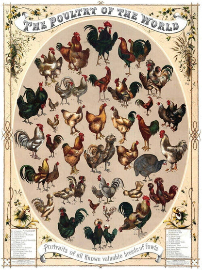 Game Ammo Hunting Cartridges Poster Knowledge Wall Decor Print for New Hunter Metal Tin Sign (12x8Inch) - Retro Tin Sign for