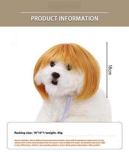 Peruca para Animais de Estimação, Peruca para Cachorro, Suprimentos para Animais de Estimação, Acessórios de Halloween para Animais de Estimação, Peruca de Cabelo Cacheado, Cabelo Liso, Peruca para Gato, Pode Ser Aparada (DIY)
