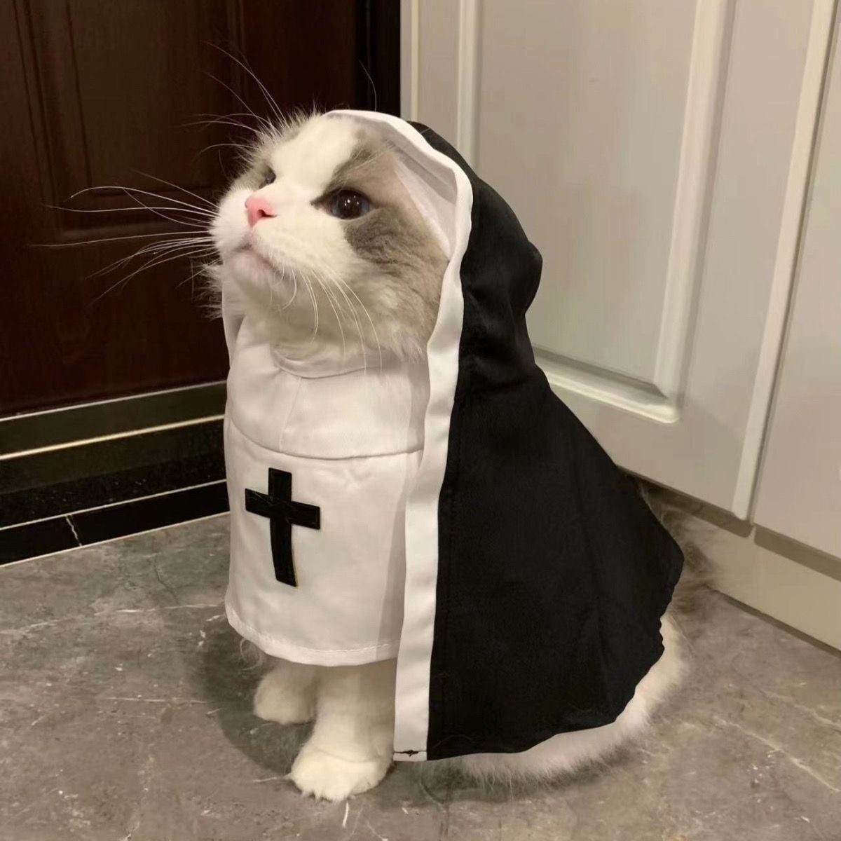 Festa do Gato Fofo Vestir Gatinho Jesus Roupas Para Cães Pequenos e Médios Gatos Engraçados Fantasias de Cosplay de Gato Acessório Para Filhotes de Cachorro de Estimação