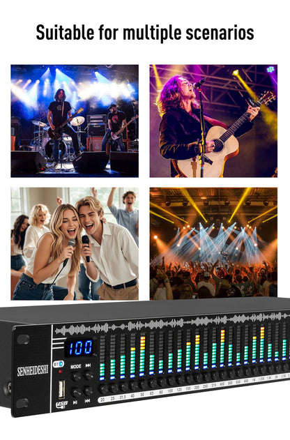 EQ31SUB Digital Equalizer 31 Stage Tuner Professional Stage Performance Noise Reduction Audio Processing