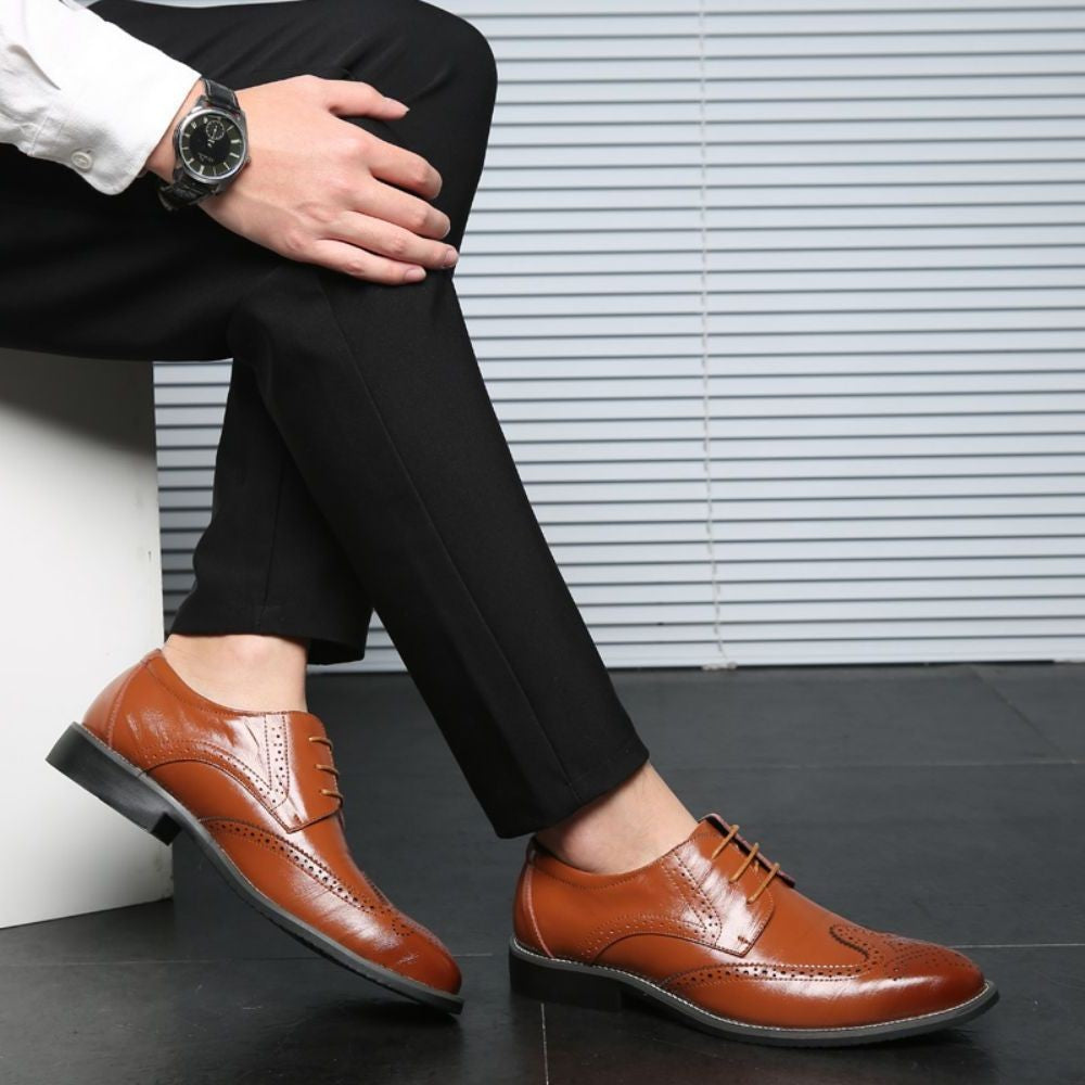 Men's Business Dress Shoes Pointed Toe Lace-Up Oxfords (Large Sizes Available)