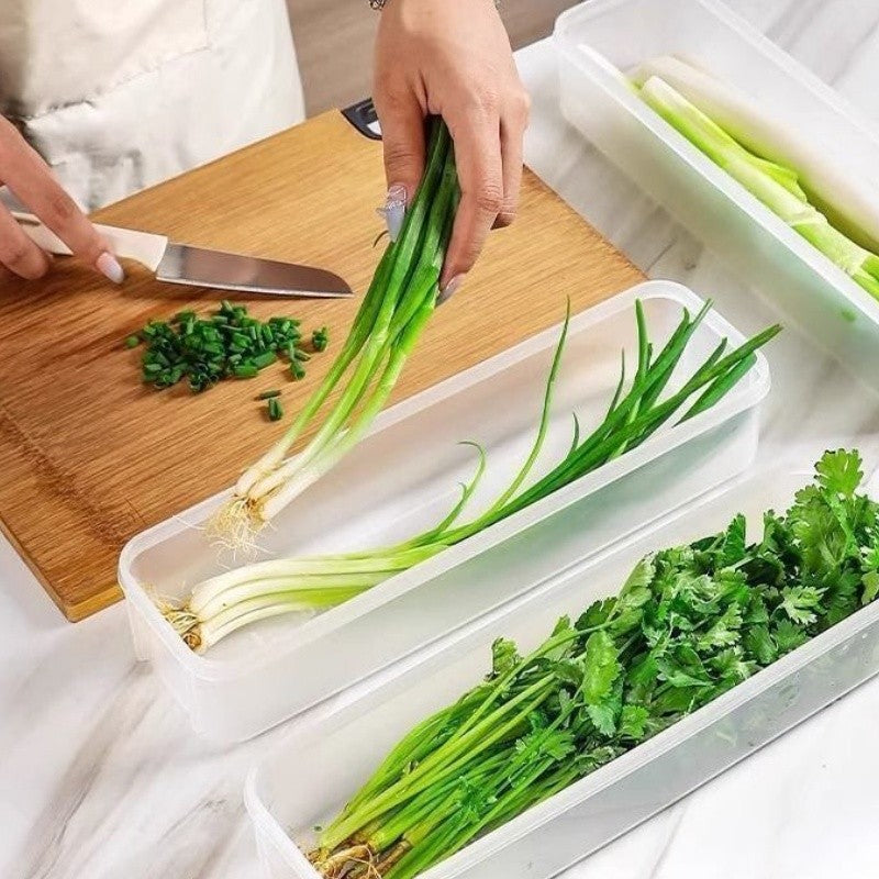 1/2/4Pcs Refrigerator Storage Boxes With Lid Plastic Fresh Keeping Box Kitchen Scallions Cilantro Eggs Noodles Sealed Container