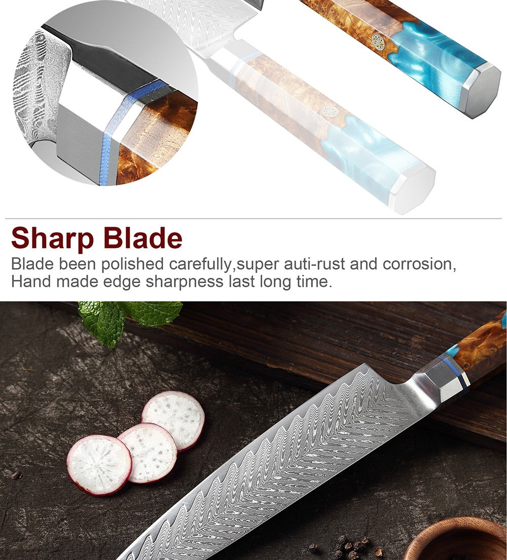 XITUO Damascus Steel Knife Set 1-9PCS Japanese Chef Knife, Santoku, Bread, Utility & Boning Knives-Ultra Sharp, Octagonal Handle