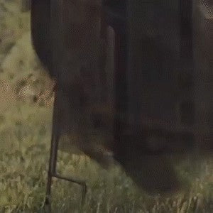 Light-Up Witches with Stakes Halloween Decorations Outdoor Holding Hands Screaming Witches Sound Activated Sensor Decor