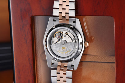 PAGANI DESIGN Men's Watches 2025 New Enamel Dial DD36 Automatic Watch Men Business Waterproof Mechanical Wristwatch For Men Gift