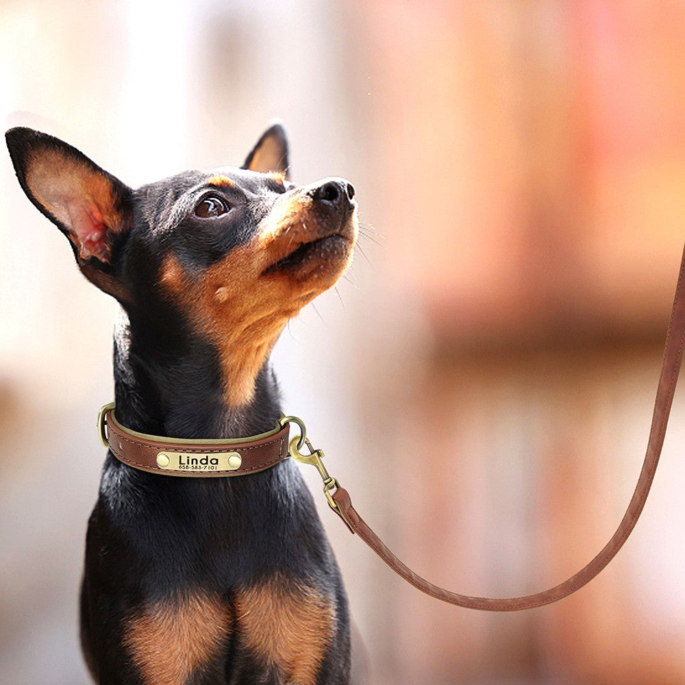 Conjunto Personalizado de Coleira e Guia de Couro para Cães Coleira de Couro Acolchoada Macia para Cães de Pequeno, Médio e Grande Porte com Placa de Identificação Grátis