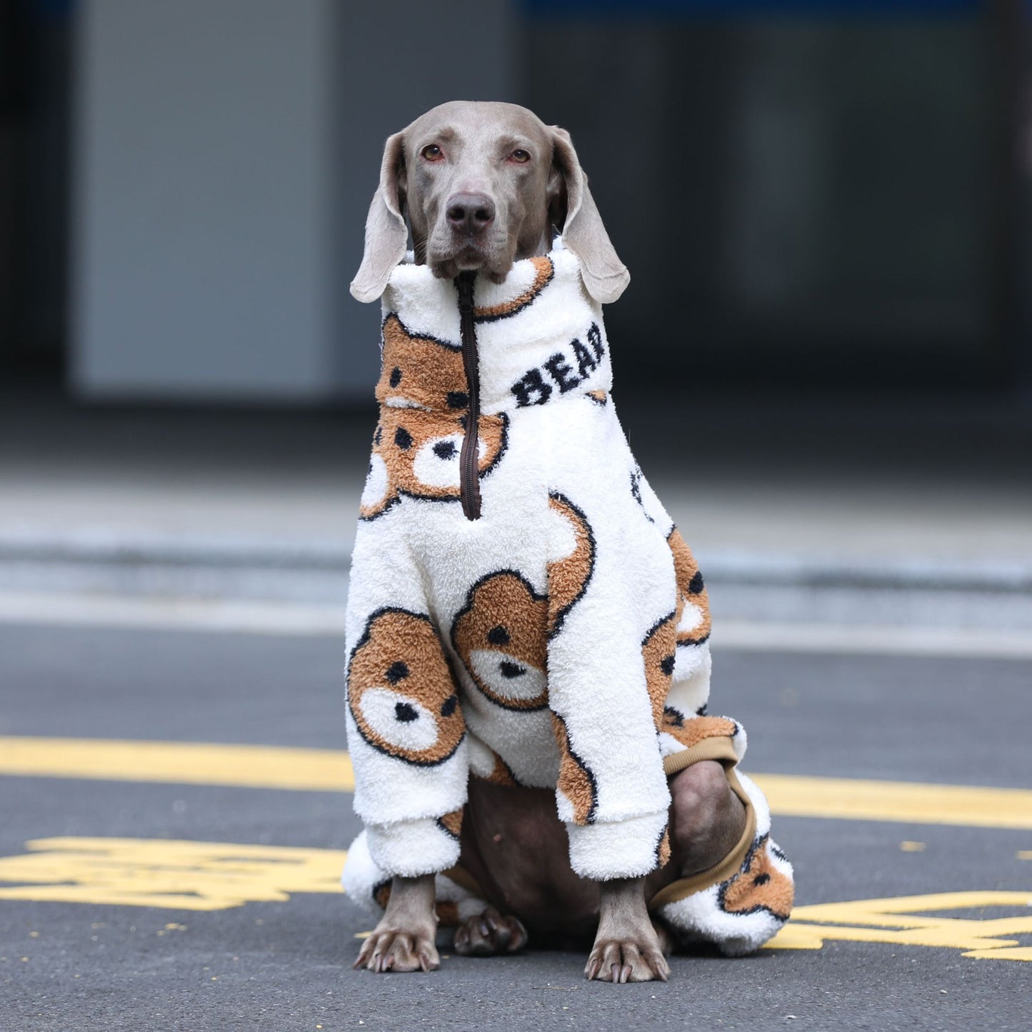 Macacão de 4 patas para cachorros grandes, pijama quente de inverno para raças grandes, suéter macio com estampa de urso, moletom de lã para Husky Labrador