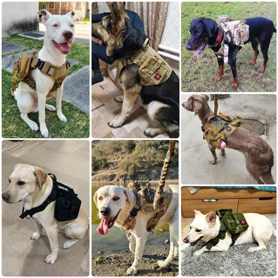 Coleira Peitoral Tática para Cães com Alça e Bolsas Molle para Cães de Porte Médio e Grande, Colete Militar de Treinamento para Pets, Coleira Ajustável para Cães de Serviço