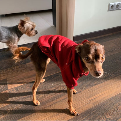 Moletons Sólidos para Cães Roupas para Pets Pequenos Casacos Jaquetas Moletom para Chihuahua Fantasia de Gato Roupinhas de Algodão para Pets
