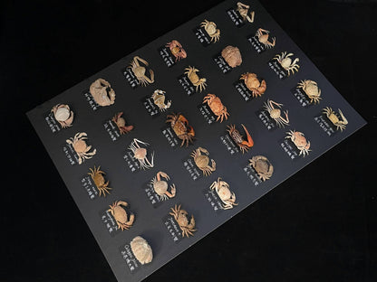 Espécime de caranguejo real Demania Baccalipes, artesanato especial, colecionadores, decoração de casa, ornamento de mesa, personalizado