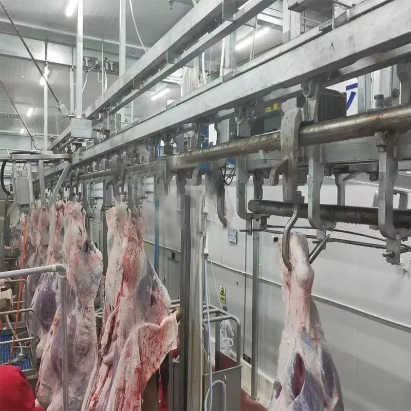 Modern Design Halal Cattle Abattoir Dressing Line Plant Butcher Machinery Beef Slaughterhouse Equipment Cow Slaughter Machine