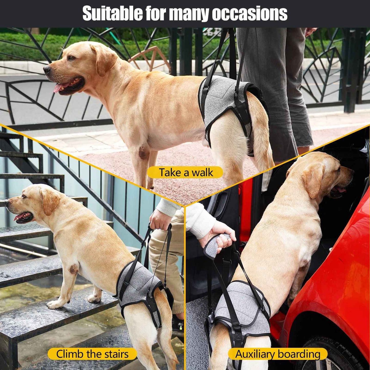 Coleira de Suporte para Cães Ajustável para Cães Grandes com Acolchoamento Macio Suporte para Pernas Traseiras para Animais de Estimação Idosos com Deficiência Lesões Articulares Apoio para as Pernas Traseiras do Cão