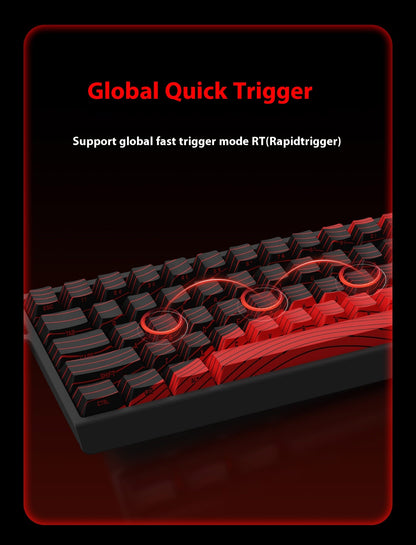 Hot Sale MADLIONS MAD60HE Magnetic Switch Keyboard Mechanical Keyboard 8000Hz 0.01mmRT Wired Custom Valorant Gaming Keyboard