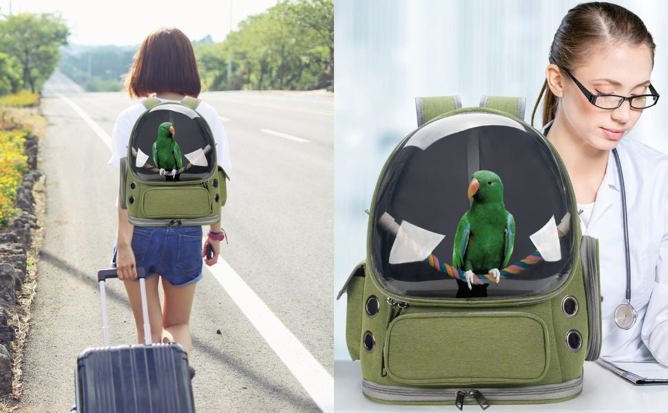 Mochila Transportadora para Pássaros, Gaiola de Viagem para Papagaios com Poleiro e Comedouros para Papagaio e Calopsita para Visitas ao Veterinário, Acampamento, Caminhada, Viagem