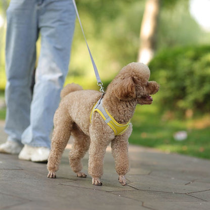 Conjunto de Coleira e Peitoral para Cães Pequenos Ajustável Peitoral Colete para Cães e Gatos Filhotes Bulldog Francês Chihuahua Pug Caminhada ao Ar Livre Guia Coleira