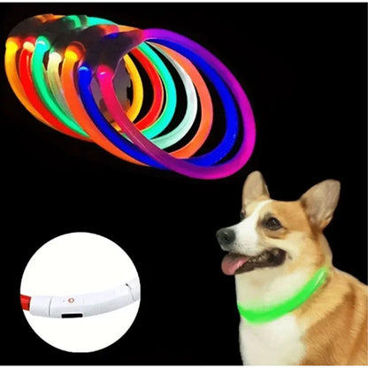 Coleira Luminosa LED para Cães e Gatos, Recarregável USB, Noturna, Anti-perda, Para Cães e Gatos de Pequeno, Médio e Grande Porte, Acessórios de Segurança para Animais de Estimação