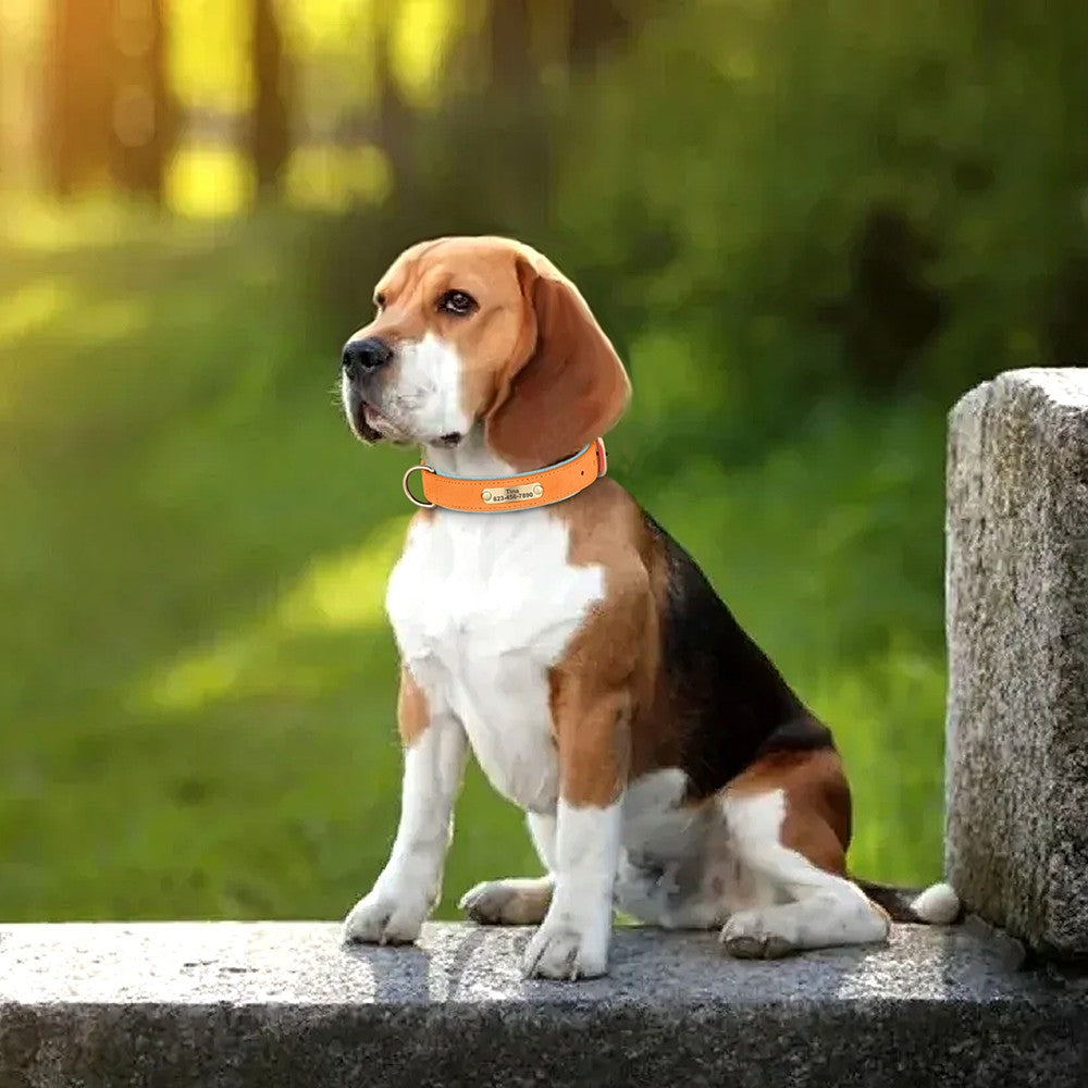 Coleira de cachorro personalizada em couro PU, gravação gratuita, coleiras de identificação de cachorro, coleiras acolchoadas macias para cães pequenos, médios e grandes, ajustáveis