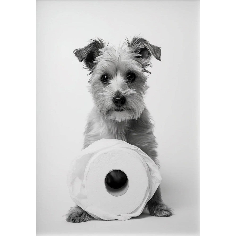 Black and White Cute Animal and Toilet Paper Poster Lion Owl Cat Dog Canvas Painting Wall Art Bathroom Living Room Home Decor