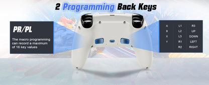 RGB Wireless Gamepad,For Playstation 5/PS5 Controller,With Turbo Dual Sense Vibrate Programming 3D Gaming Controller Console