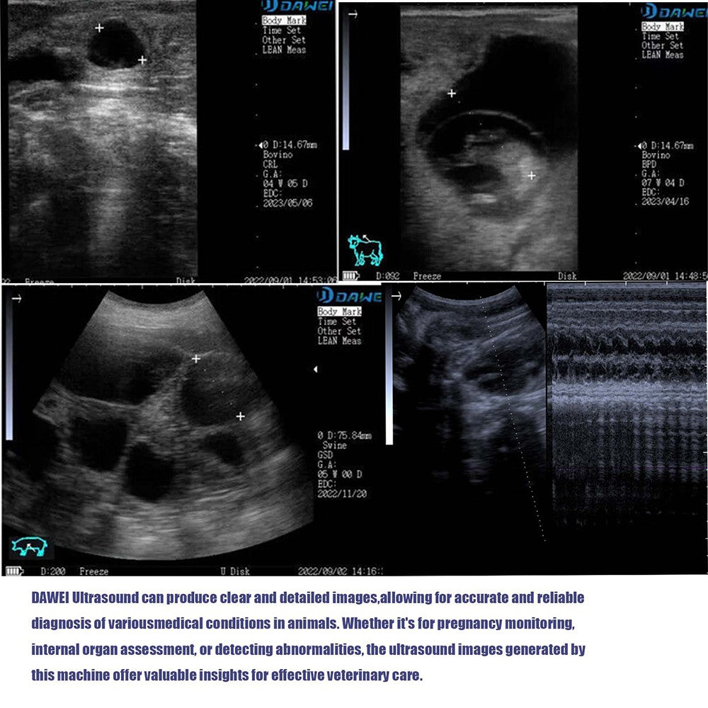 Scanner de Ultrassom Veterinário Portátil Máquina de Prenhez de Ultrassom B Veterinária Portátil (B, BB, 4B, B+M, M) para Porcos Ovinos Bovinos Equinos Cães