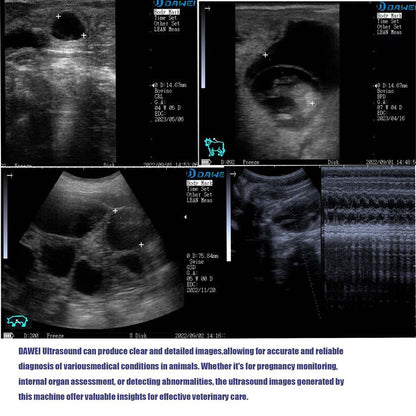 Scanner de Ultrassom Veterinário Portátil Máquina de Prenhez de Ultrassom B Veterinária Portátil (B, BB, 4B, B+M, M) para Porcos Ovinos Bovinos Equinos Cães