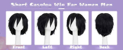 Short Roleplay Wig Fluffy Straight Synthetic Fiber Anime Wig Unisex Halloween Comic Convention Party Costume Wig
