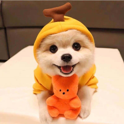 Roupas Pet Cosplay Moletom Para Cães Pequenos Casaco Jaqueta Fantasia Gatinho Chihuahua Yorkie