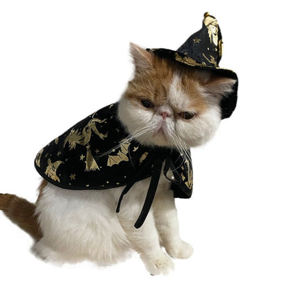 Nova Capa de Bruxa de Halloween, Capa de Gato Mago, Capa para Pets, Fantasia de Festival, Fantasia de Transformação