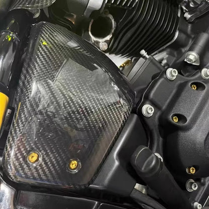 Para Harley Davidson lowriderS 2022-2024 Peça de modificação de motocicleta 100% fibra de carbono Protetor de quadro da tampa lateral da bateria