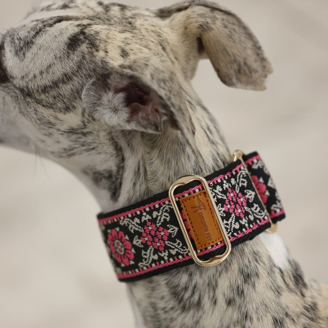 Coleira Martingale para Cães Galinhas / Coleira para Galgo Inglês / Coleira para Galgo Italiano / Coleira para Lurcher / Coleira para Whippet / Coleira para Galgo Espanhol