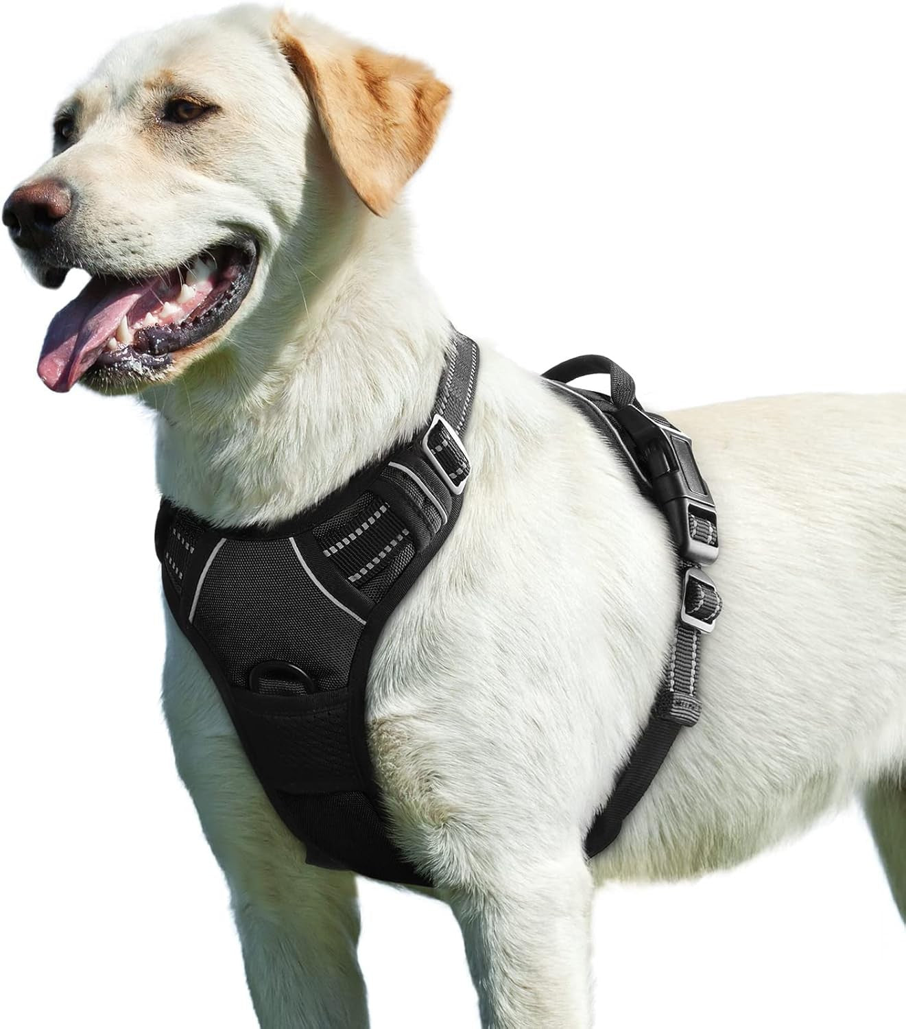 Colete para Cães Antitração com 2 Clip para Guia, Ajustável, Acolchoado Macio, Refletivo Oxford, Não Estrangula, com Alça de Fácil Controle