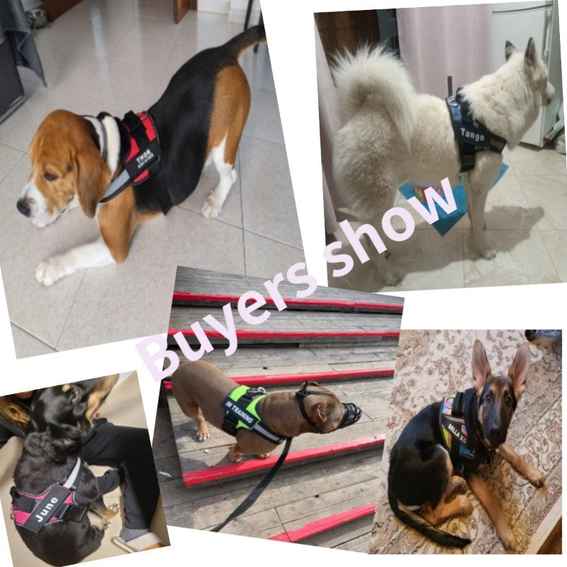 Coleira Personalizada para Cães Colete Reflexivo Ajustável Sem Puxar para Cães de Pequeno Médio Grande Porte, Atacado