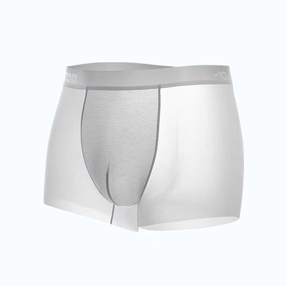 Ice Silk Men's Panties Sports Quick Drying Fashion Shorts Thin Plus Size Panties Boxer Underwear Underpants Gift Luxury