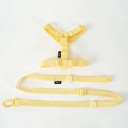 Conjunto de Coleira e Guia Ajustável para Cães Cor Macaron, Acessórios Reflexivos para Cães Pequenos para Filhotes e Gatos, Passeio com Animais de Estimação