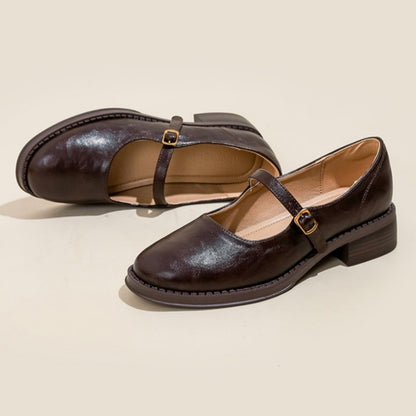 Mary Janes Women's Shoes Round Toe Flats Spring and Autumn New Fashion Buckle Strap Shallow Mouth Low Heels Loafers Women Flats