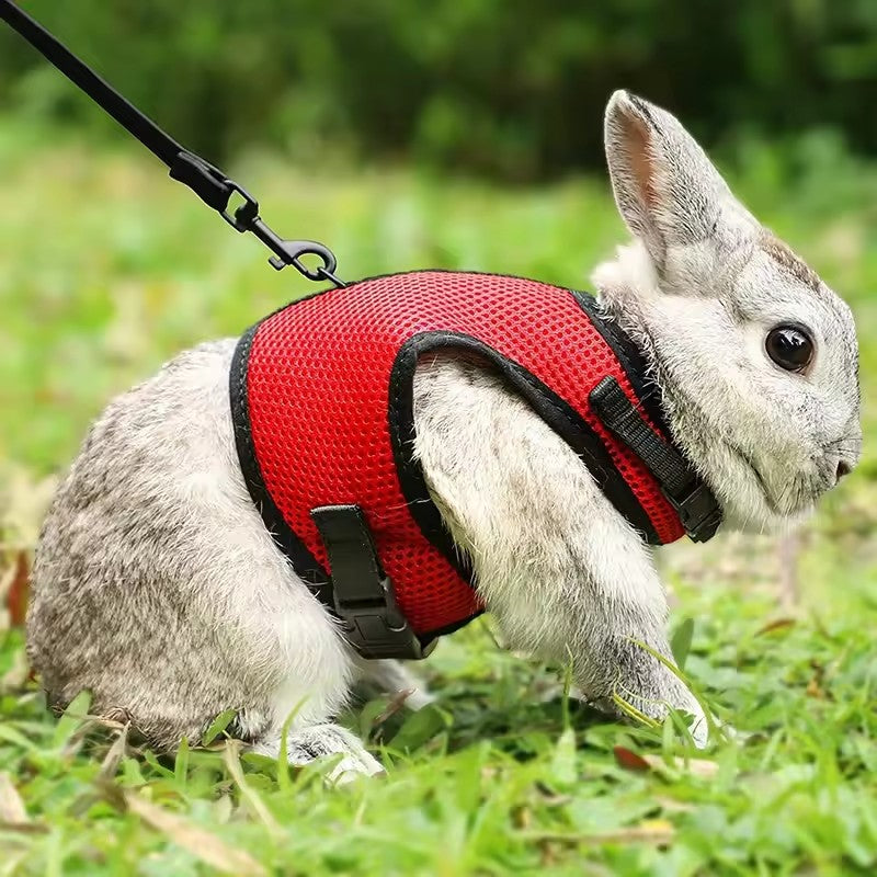 Arreio estilo colete para animais de estimação, respirável e estiloso, com alça macia ajustável e conjunto de coleira elástica, adequado para coelhos e gatos
