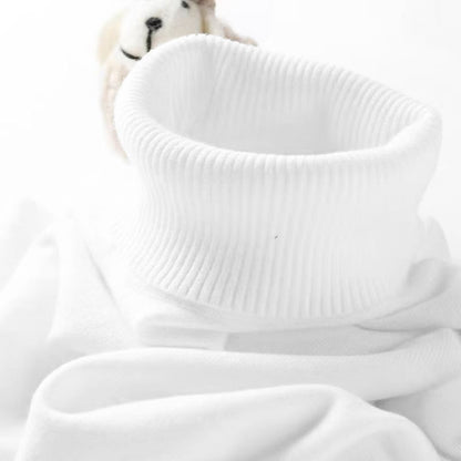 Mens Turtleneck Sweater Slim Fit Knitted Casual Pullover Lightweight Ribbed Long Sleeve Sweaters Autumn Solid Color Streetwear