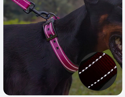 Coleira de cachorro para ambientes externos Fivela de metal Coleira de nylon respirável Coleira de pescoço de alta qualidade para cães de médio e grande porte