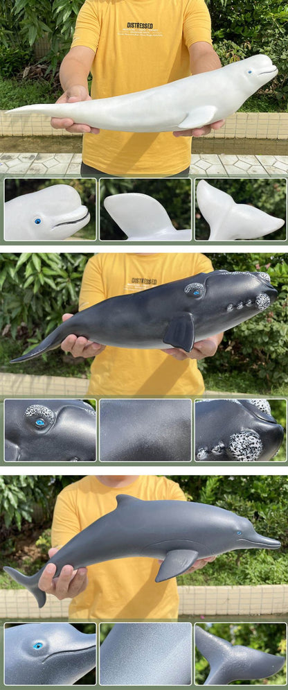 Grandes Animais Marinhos Baleia Jubarte Golfinho Assassino Baleia Azul Agite Cachalote Modelo Bonecos de Ação Tartaruga Marinha Pinguim Brinquedos Educacionais