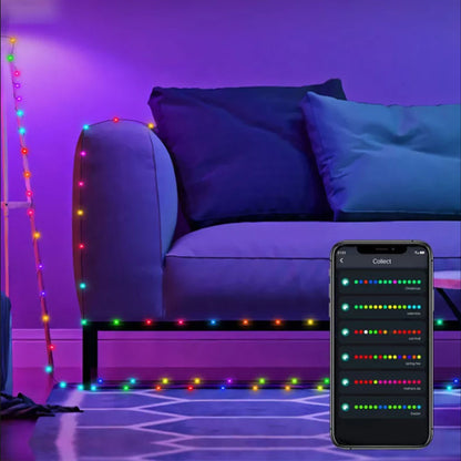 WS2812B LED String 5M 10M 20M RGBIC Dream Color Party Christmas Lights Individually Addressable String Lights Waterproof DC5V