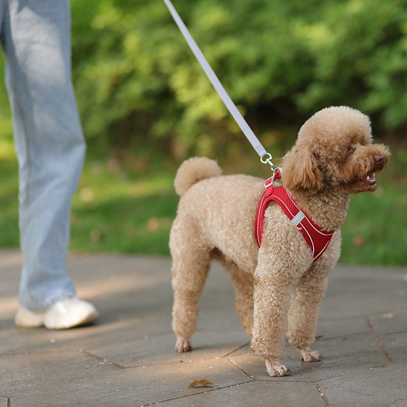 Conjunto de Coleira e Peitoral para Cães Pequenos Ajustável Peitoral Colete para Cães e Gatos Filhotes Bulldog Francês Chihuahua Pug Caminhada ao Ar Livre Guia Coleira