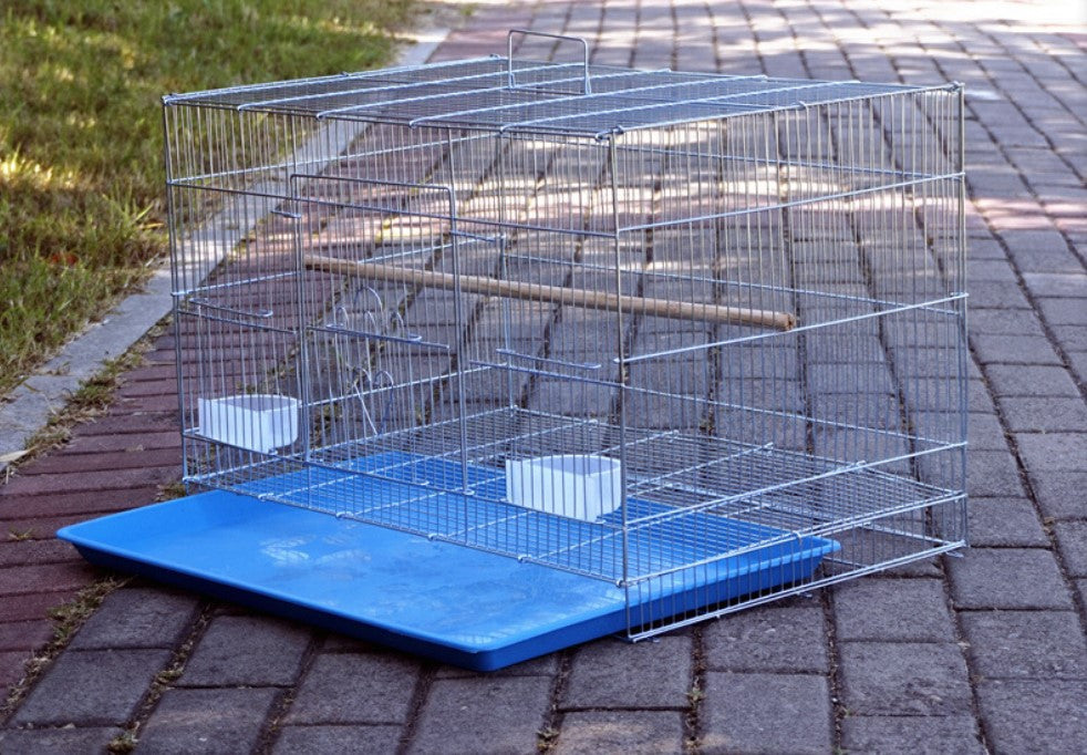 Tela de arame soldado galvanizado de 1 metro (40 polegadas) de largura com furos de 10x100mm, para gaiola de criação doméstica de pássaros, pombos, coelhos, papagaios, codornas e galinhas