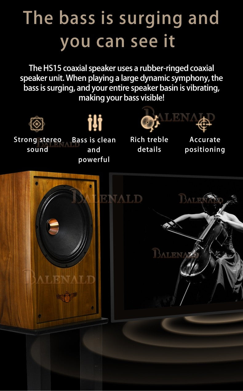hifi speaker Banlong de alta fidelidade de 12 polegadas com bass coaxial de estante, alto-falantes hifi de alta fidelidade passivos em folha de madeira