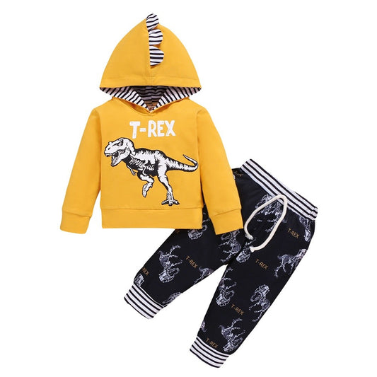 Newborn Baby Boy Autumn&Winter Clothes Set Dinosaur Printed Hooded Long Sleeved Top+Pants Toddler Boy Casual Outfit for Age 0-3